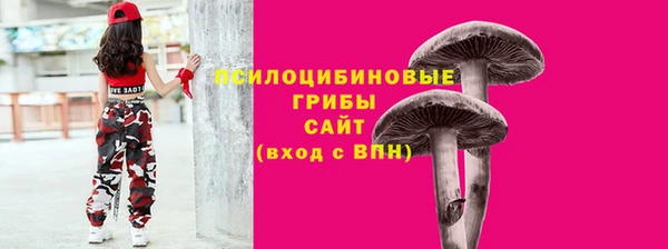 кокс Козловка
