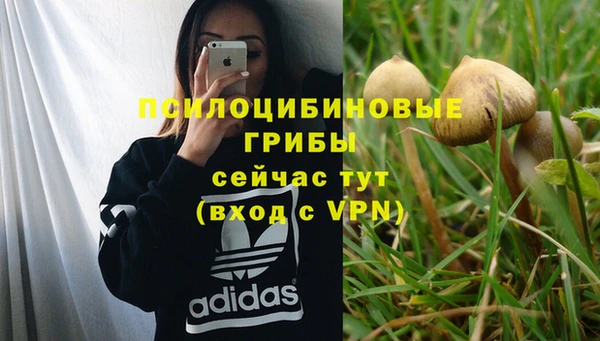 Альфа ПВП Корсаков