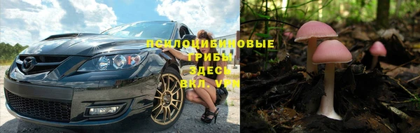 хмурый Козельск