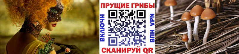 Псилоцибиновые грибы MAGIC MUSHROOMS  МЕГА ссылки  Кораблино 